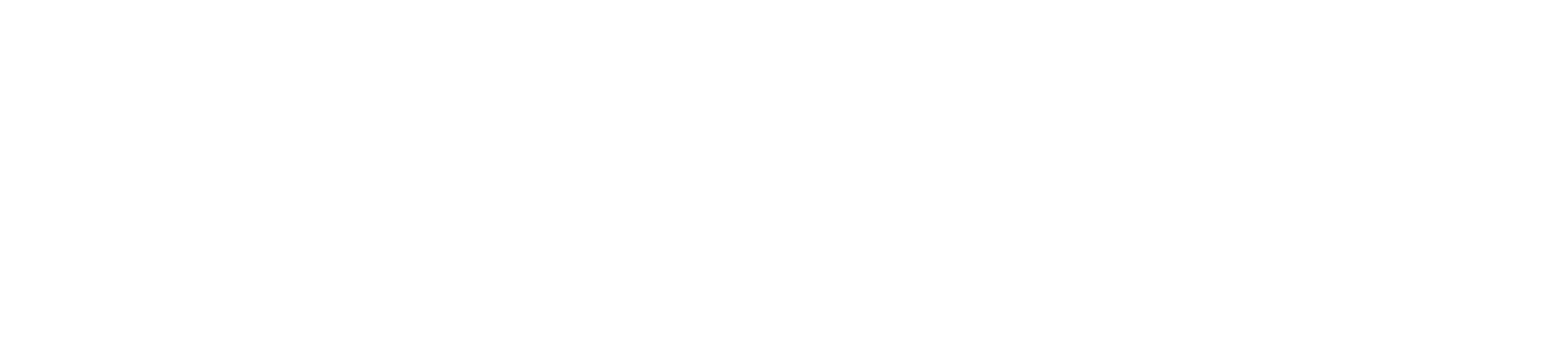 Pferde-Geist - Kristin Richter